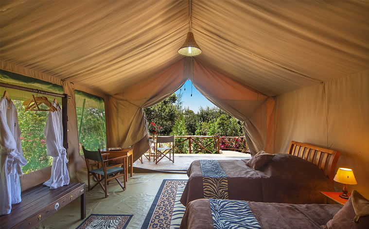 main  rhinowatchlodge1